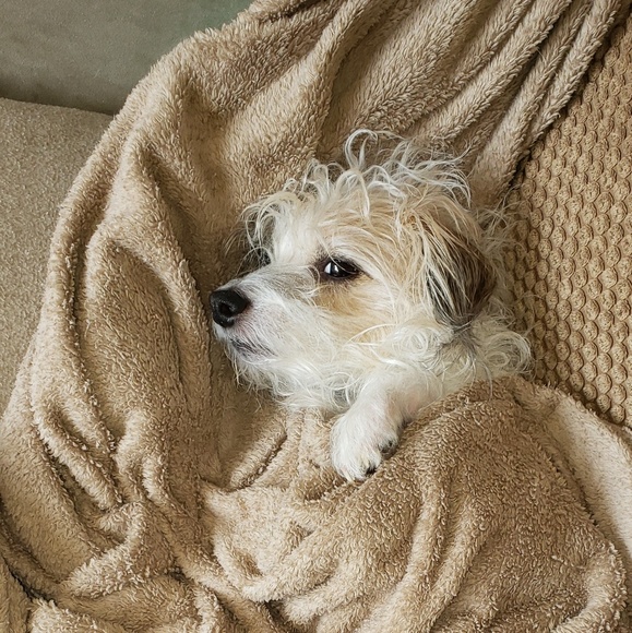 Meet your Posher, Tiffany - Picture 1 of 1